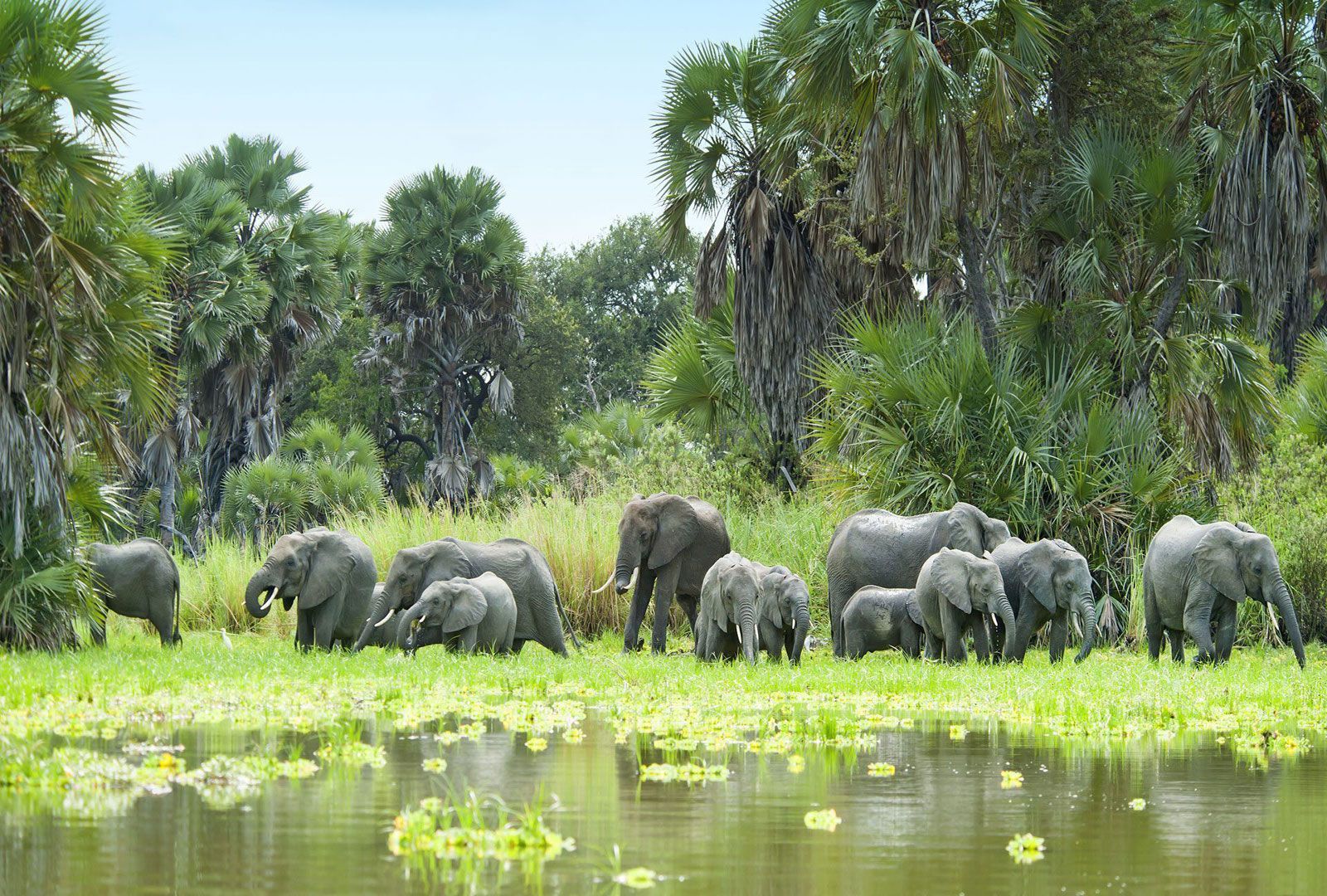 Selous Game Reserve Selous Game Reserve