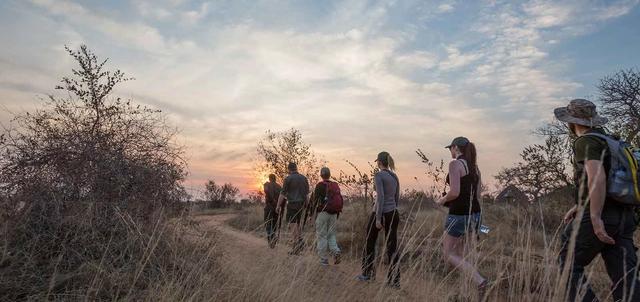 Kruger Walking Safari
