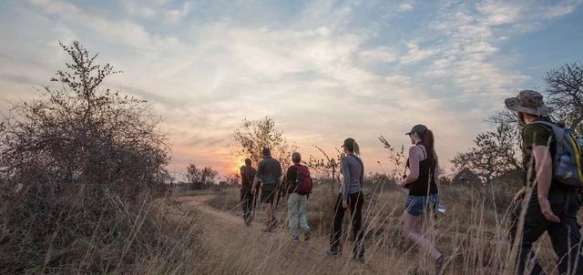 Kruger Walking Safari Kruger Walking Safari