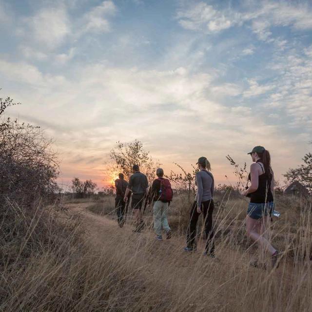 Kruger Walking Safari