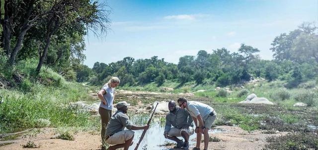 Simbavati Trails Camp Simbavati Trails Camp