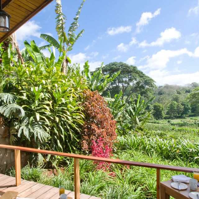 Gibb's Farm Gibb's Farm