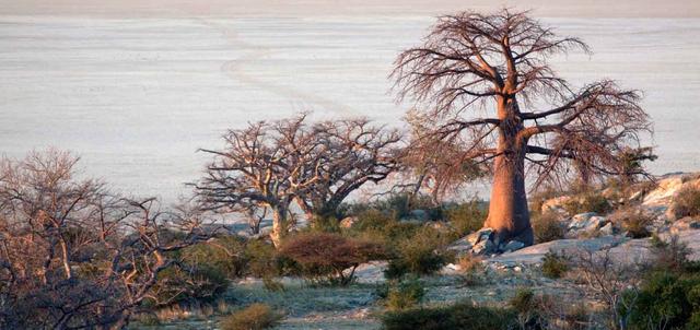Makgadikgadi Pans Makgadikgadi Pans
