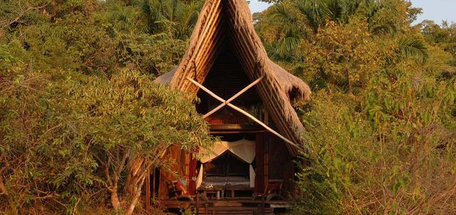 Greystoke Mahale Greystoke Mahale