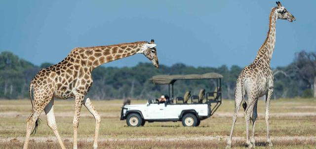 Hwange & Vic Falls Adventure Hwange & Vic Falls Adventure