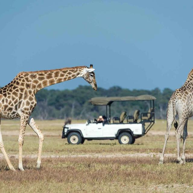 Hwange & Vic Falls Adventure Hwange & Vic Falls Adventure