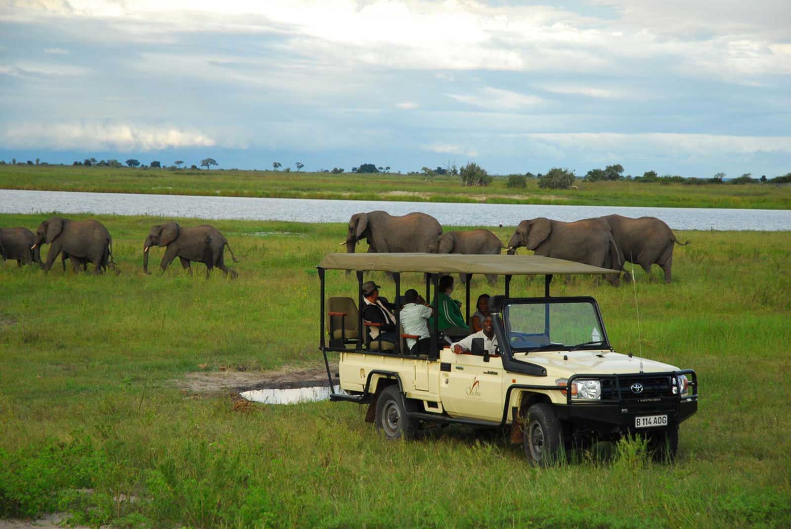 Chobe National Park