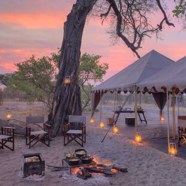 Savute under Canvas Savute under Canvas