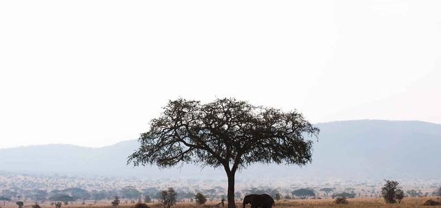 North Tanzania Family Fun