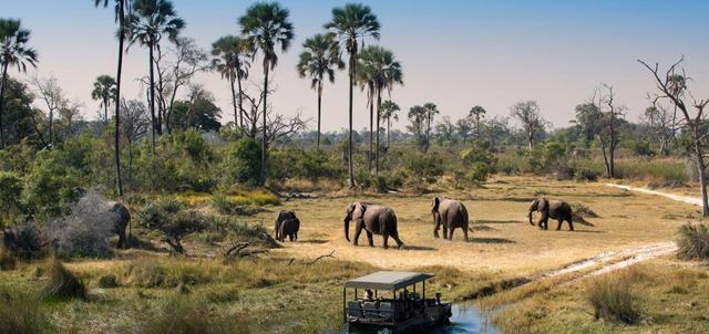 Getty House Safari Camp