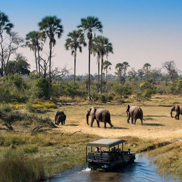 Cybele Forest Lodge