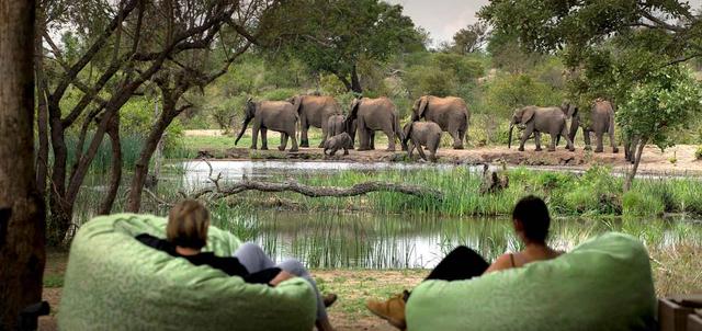 Big 5 Kruger Romance Luxury Big 5 Kruger Romance Luxury