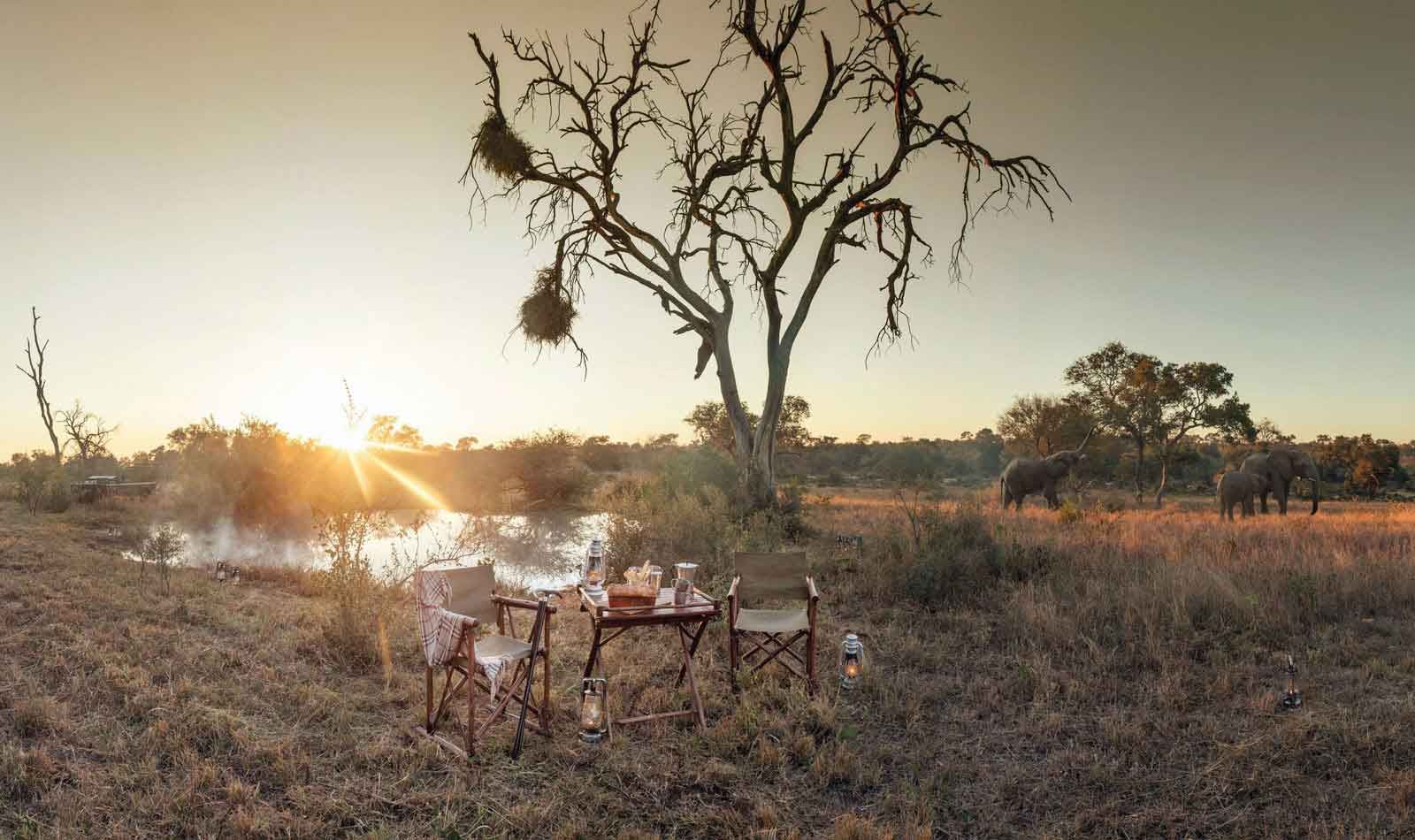 Timbavati Game Reserve