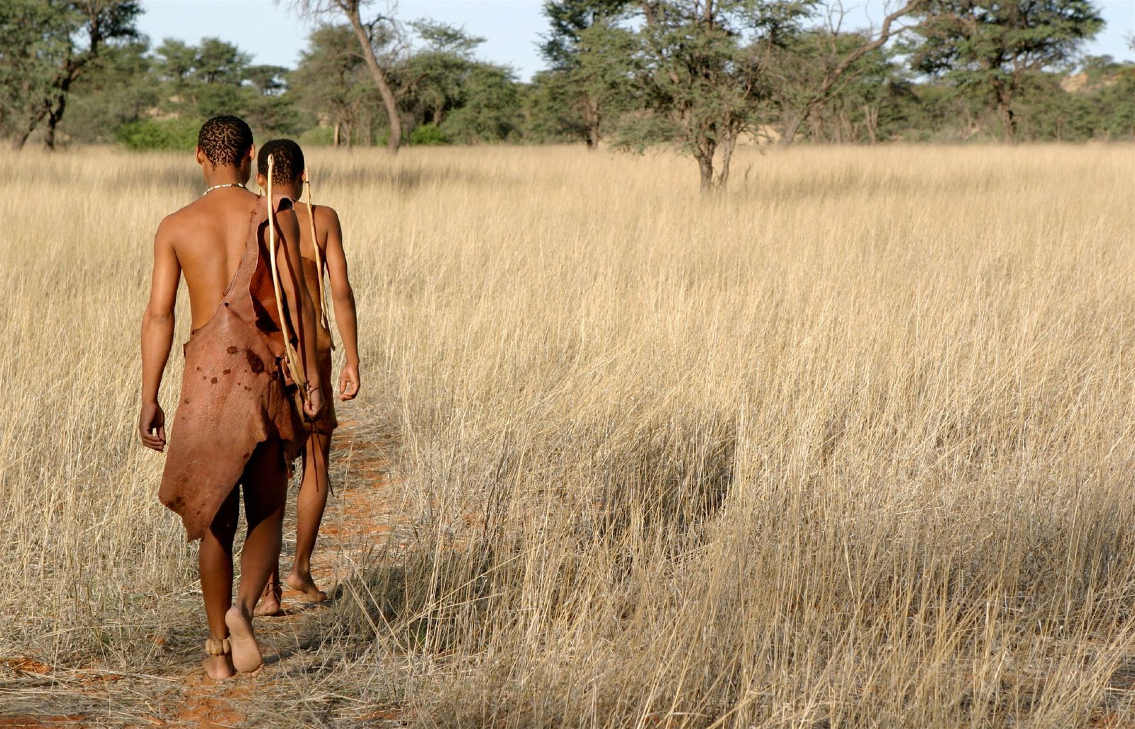 Kalahari Desert