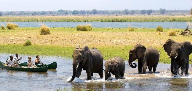 Zimbabwe Safaris Zimbabwe Safaris