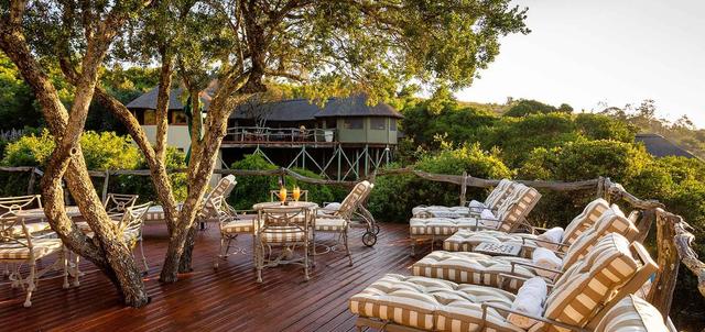 Lalibela Tree Tops Lodge