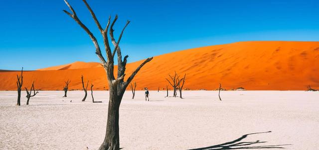 Namibia Safaris Namibia Safaris