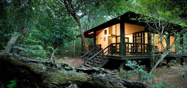 Phinda Forest Lodge Phinda Forest Lodge