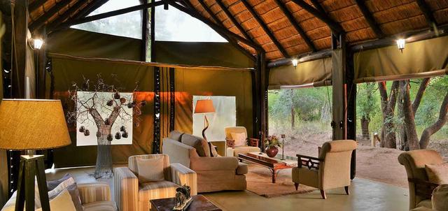 Black Rhino Game Lodge, Pilanesberg Safari