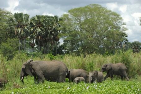 Burley House Burley House