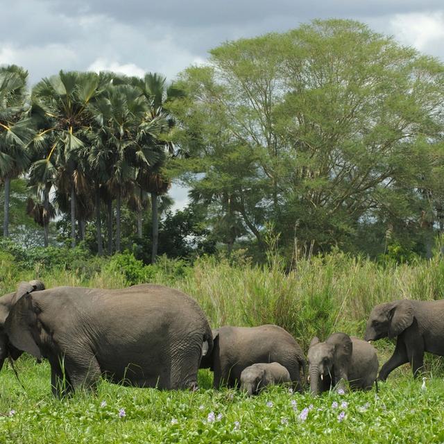 Burley House Burley House