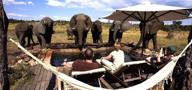 Wildlife Wonders of Zimbabwe Wildlife Wonders of Zimbabwe