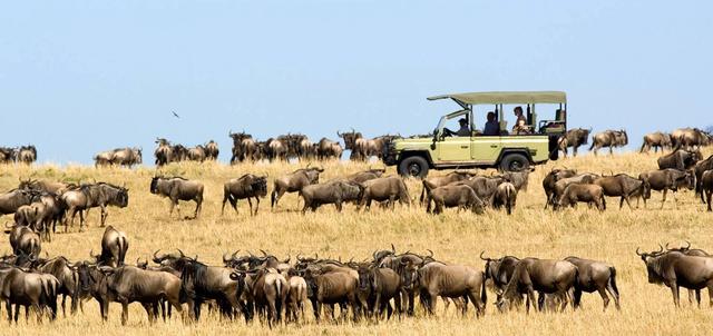 Magical Migration & Beach Tour Magical Migration & Beach Tour