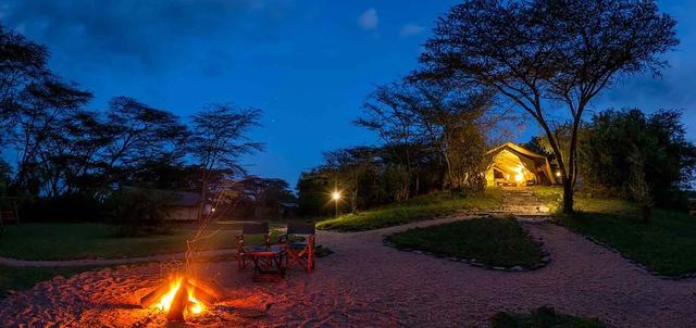 Amboseli and Masai Mara in Style Amboseli and Masai Mara in Style