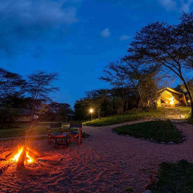 Amboseli and Masai Mara in Style Amboseli and Masai Mara in Style