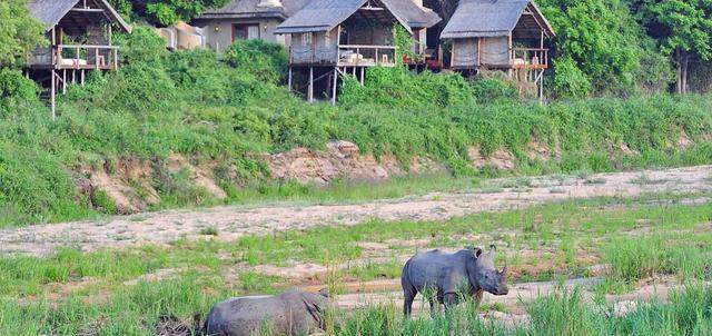 Kruger Concessions Kruger Concessions