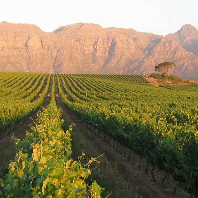 Cape Winelands Meander Cape Winelands Meander
