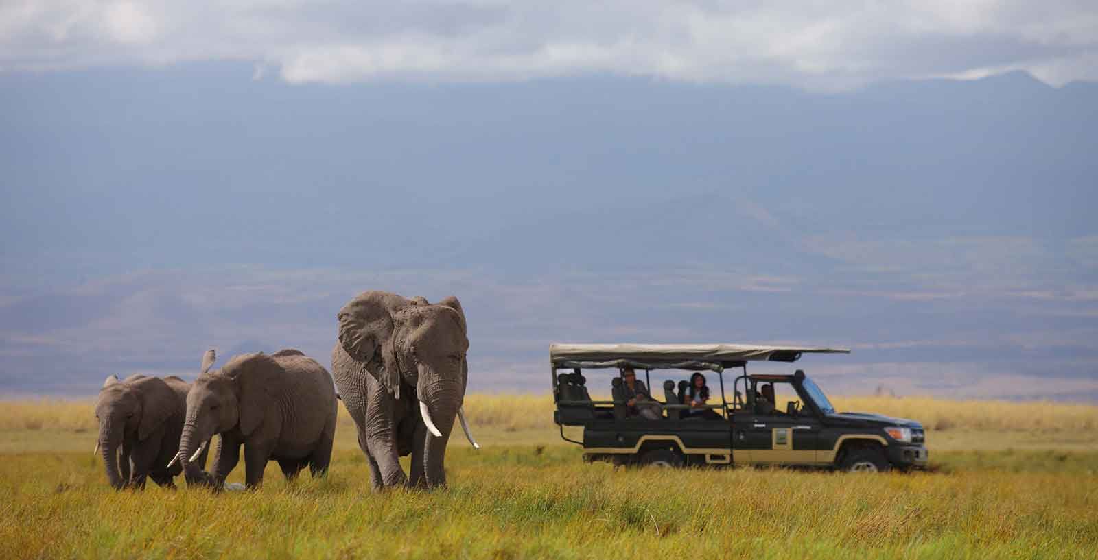 Luxury Kenya Classic Sky Safari Luxury Kenya Classic Sky Safari