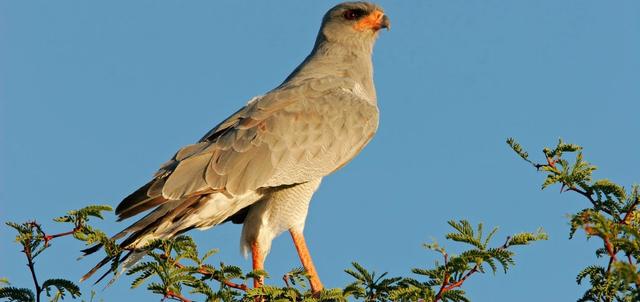 Goibib Mountain Lodge Goibib Mountain Lodge