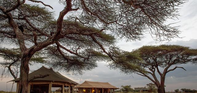 Namiri Plains Namiri Plains