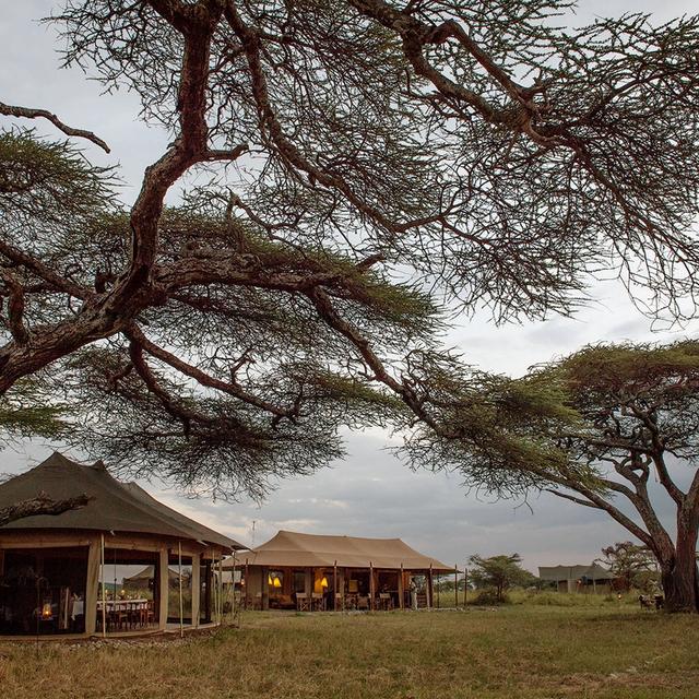 Namiri Plains Namiri Plains