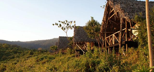 Crater Forest Camp Crater Forest Camp