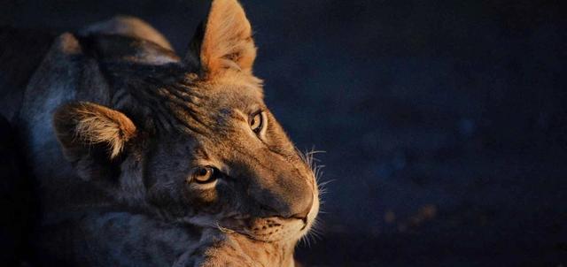 Tuli Block Tuli Block