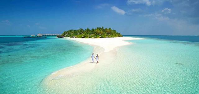 Vilu Reef Beach & Spa Resort Vilu Reef Beach & Spa Resort