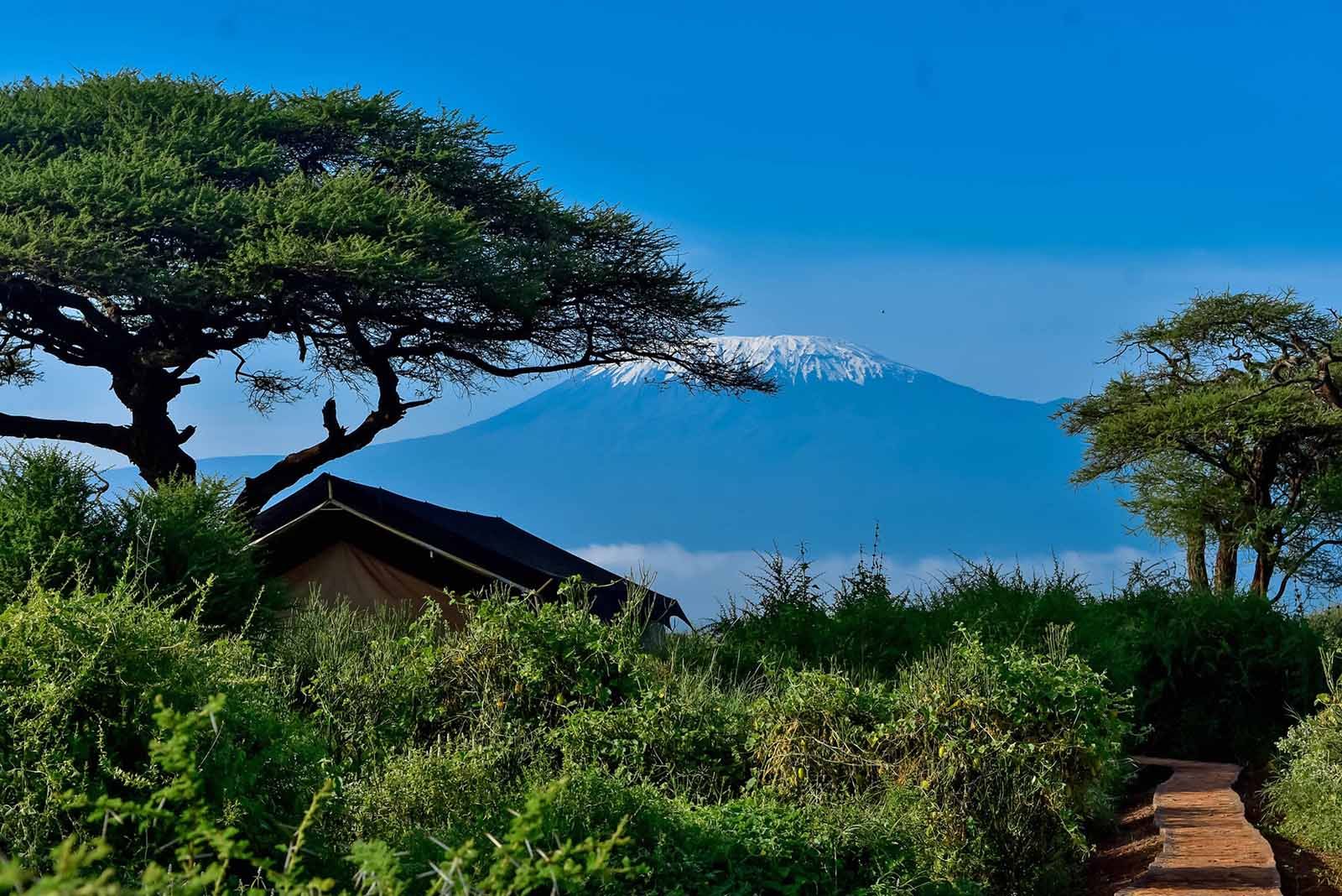 Tulia Amboseli Camp