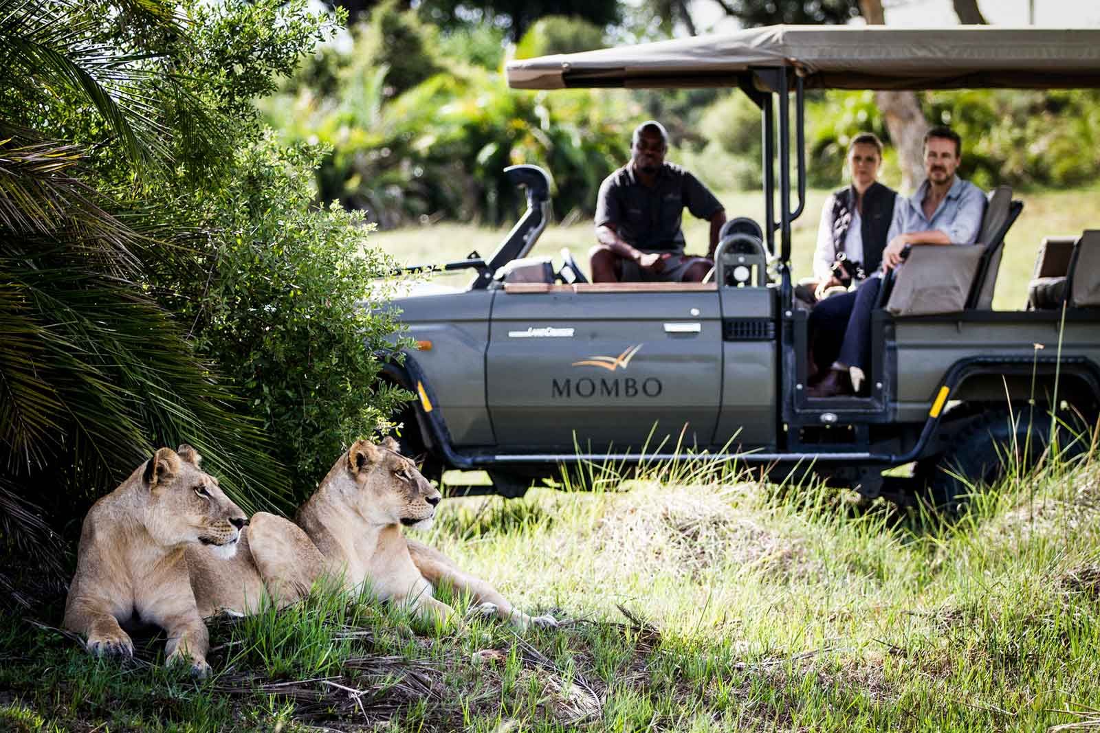 Luxury Botswana Safari