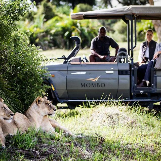 Express Botswana Premier Express Botswana Premier