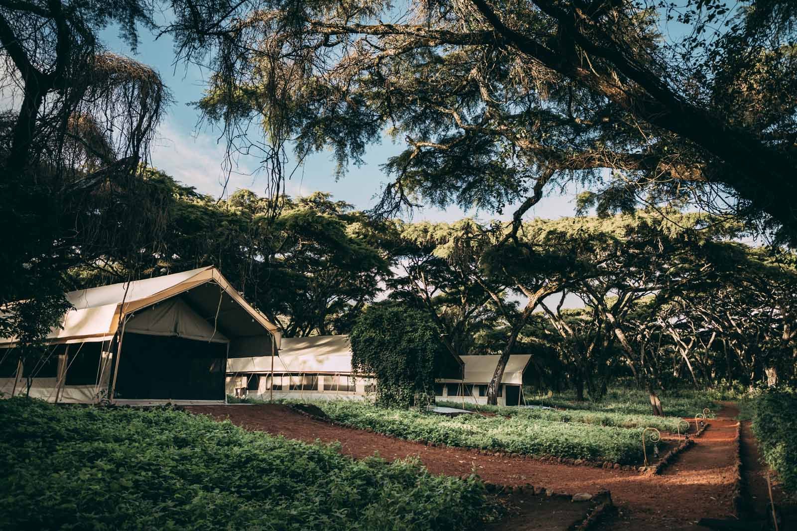 Ngorongoro Tortilis Camp