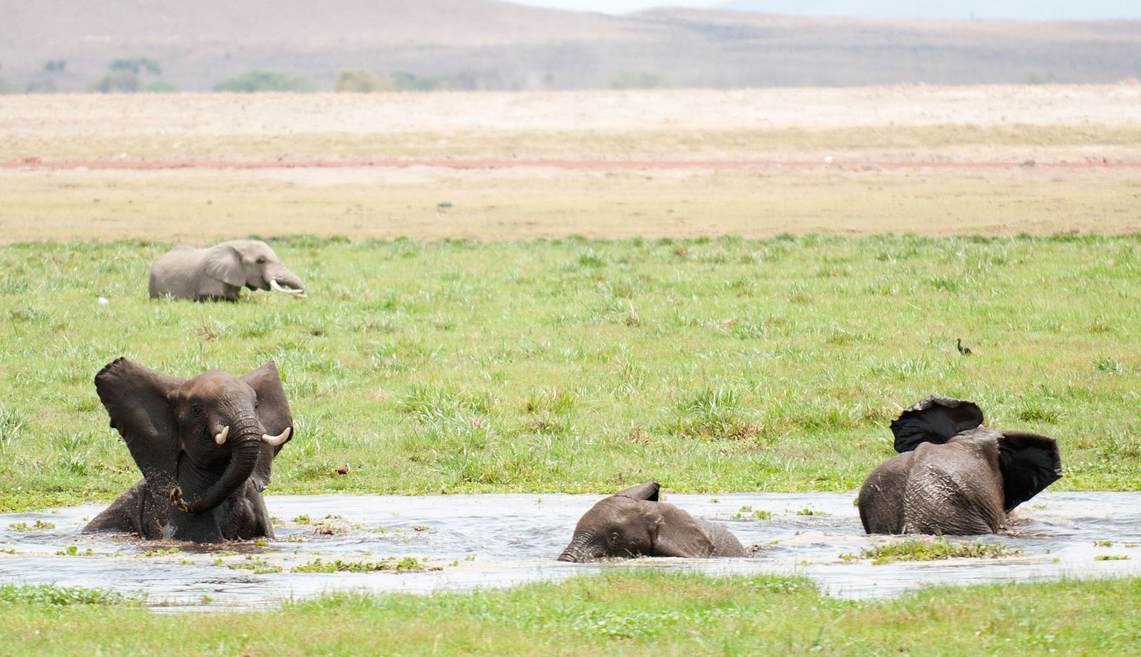 Tsavo West National Park Tsavo West National Park