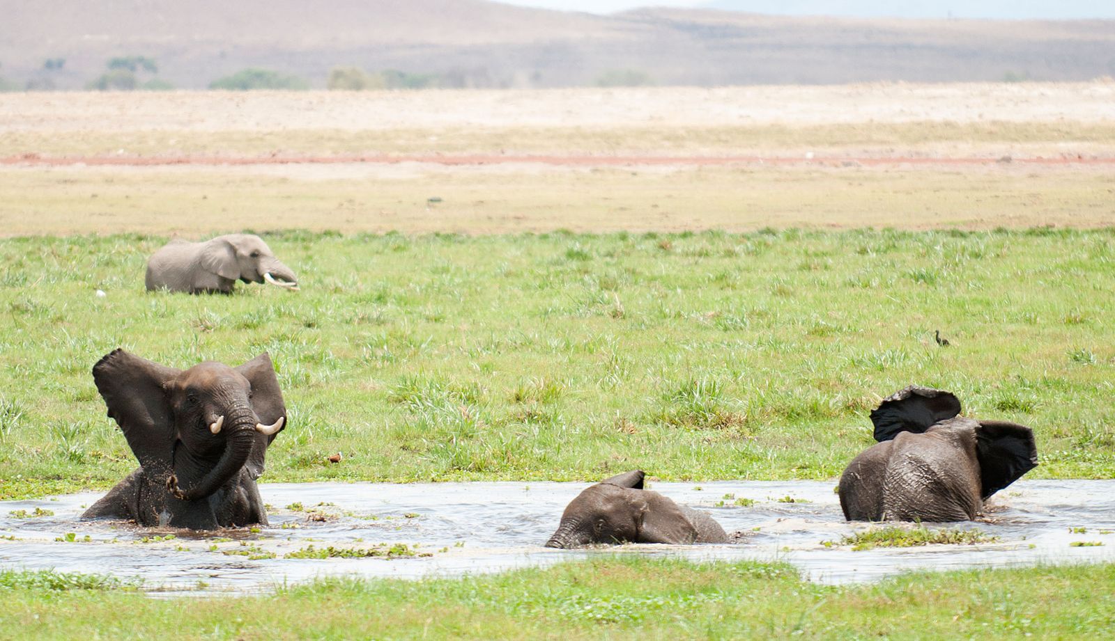 Tsavo West National Park