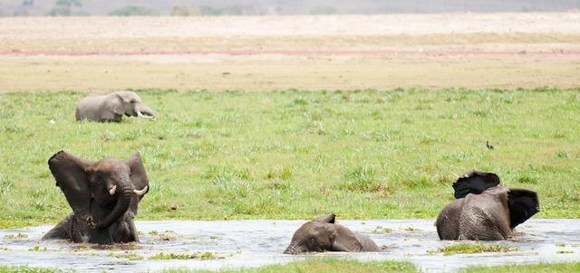 Tsavo West National Park Tsavo West National Park