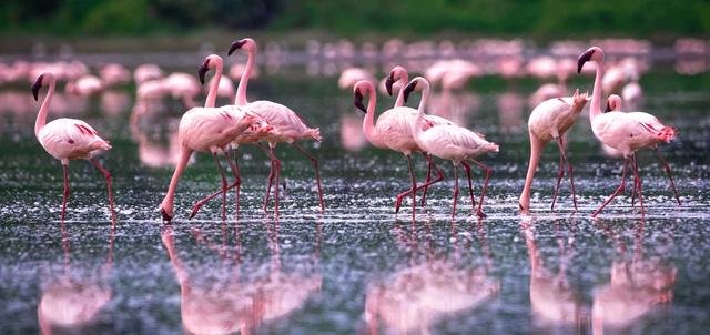 Queen Elizabeth National Park Queen Elizabeth National Park