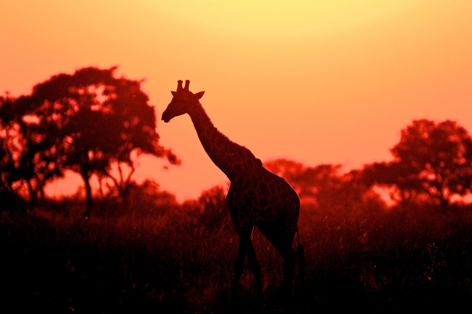 Arusha National Park