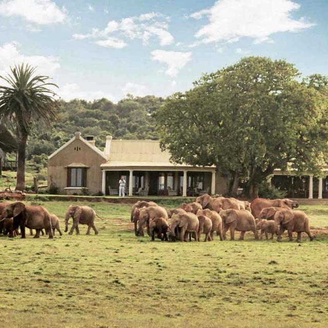 Gorah Elephant Camp Gorah Elephant Camp
