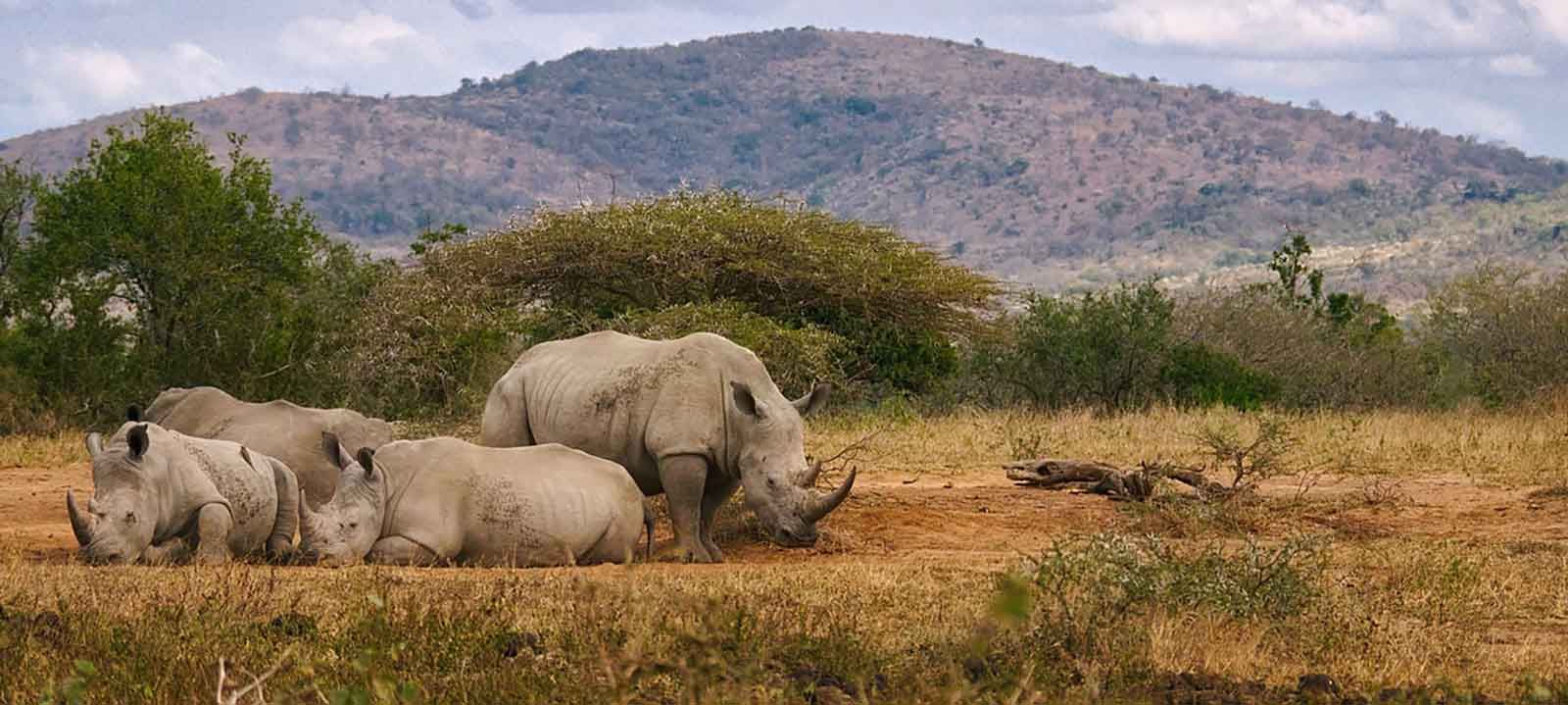 Ubizane Wildlife Reserve