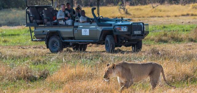 Discover Hwange Discover Hwange